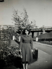 Alexandra Park c1964